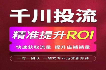 SEM投放策略优化案例分析